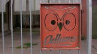 IMG_0539 odlums