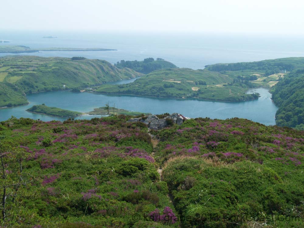KG184412 Lough Hyne