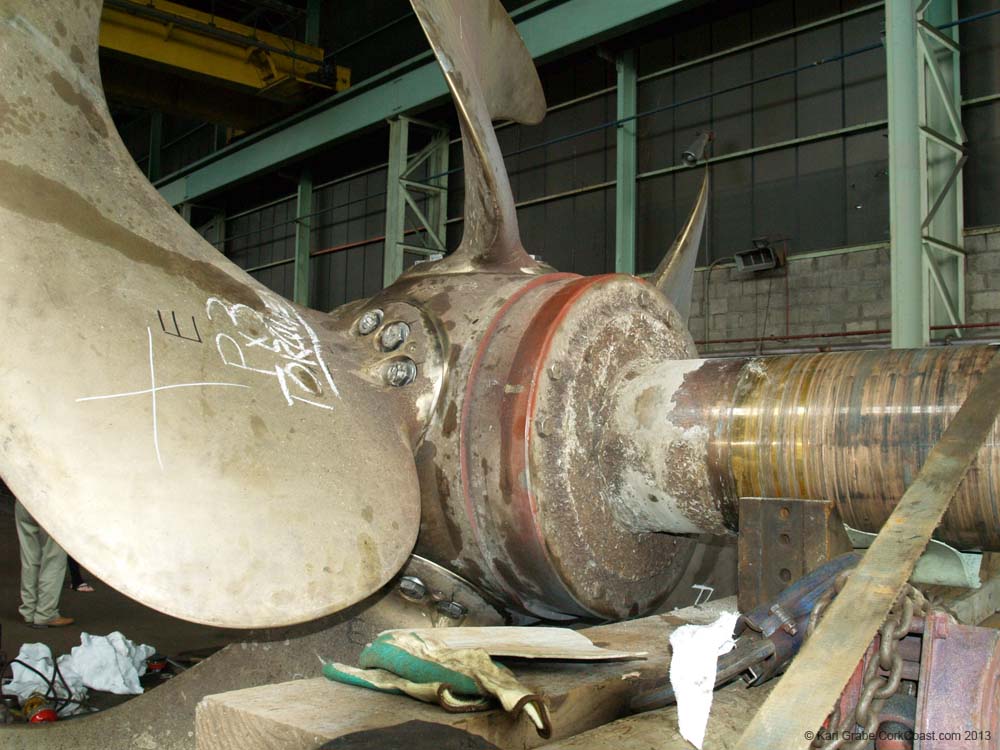 KG255005 p52 prop